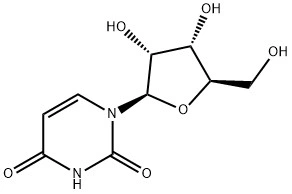 Factory Price Uridine / Uridine CAS 58-96-8
