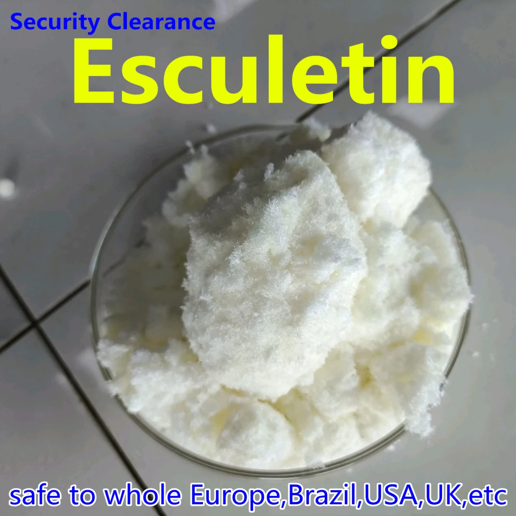 European USA UK Market 100% Pass Customs, 99% Pure Esculetin/Esculetina Powder