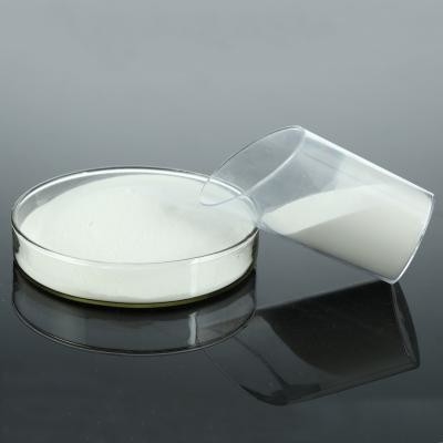 High Purity Chitosan Raw Powder with Good Price for Sale CAS: 9012-76-4