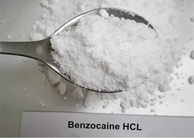 Local Anesthesia And Analgesia Benzocaine Hydrochloride Powder 23239-88-5