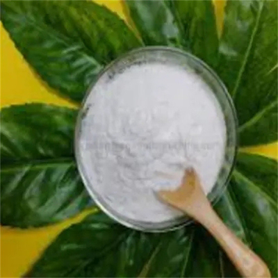 99.9% Stronger Local Anesthetic Drugs Dimethocaines Larocaine CAS 94-15-5