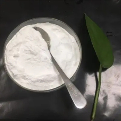 99% Pure Lido caine HCl cas 73-78-9/Lidocaina Base 137-58-6 100% Safe Clearence