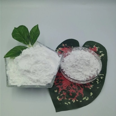 China Supplier Supply Procaine HCl CAS 51-05-8 for Pain Reliever