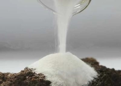 Double customs clearance Phenacetin Pain Killer Powder CAS 62-44-2 For Pain Relieving