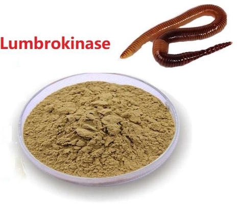 API Raw Powder Low Price Lumbrokinase Extract safe Delivery Raw Material Lumbrokinase