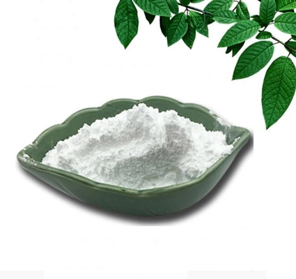 hot selling Top quality 613-93-4 N-METHYLBENZAMIDE china supplier