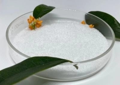 Best Price and High Quality with Ethylamine Hydrochloride CAS 557-66-4 with 99% Purity
